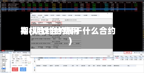 期权合约的费用指(期权合约属于什么合约)