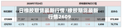 日橡胶期货最新行情/橡胶期货最新行情2609-第2张图片