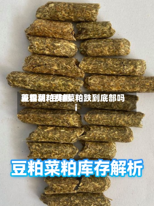 豆粕菜粕费用差套利/豆粕菜粕跌到底部吗i