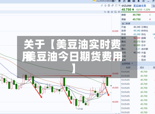 关于【美豆油实时费用,美豆油今日期货费用】