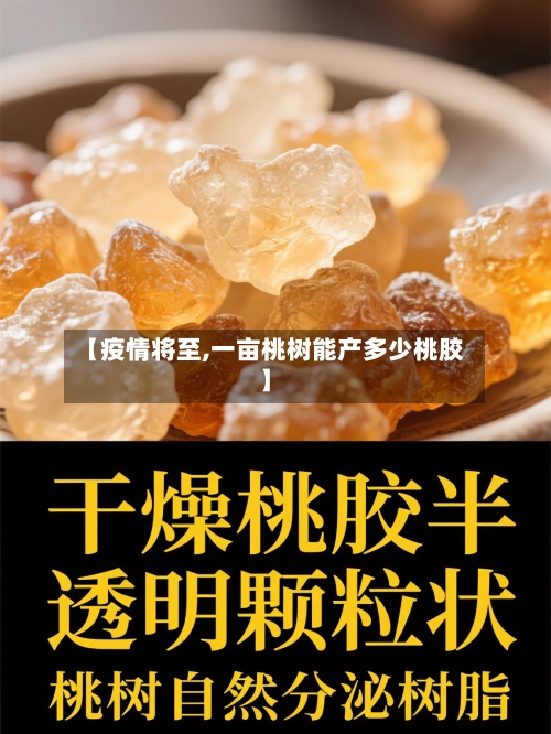 【疫情将至,一亩桃树能产多少桃胶】