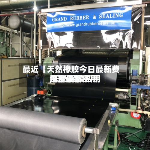 最近【天然橡胶今日最新费用,天然橡胶费用今日最新费用是多少】
