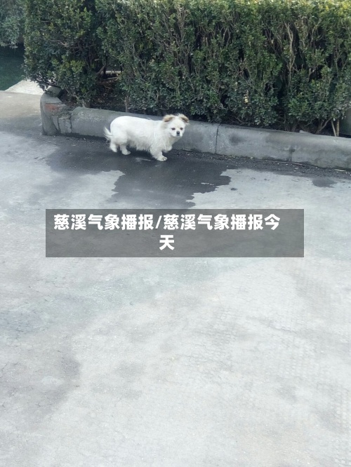 慈溪气象播报/慈溪气象播报今天-第2张图片