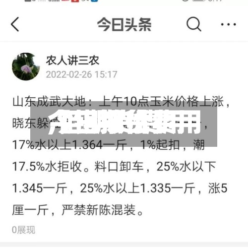 【钼期货费用
,钼期货费用
今日报价】-第2张图片