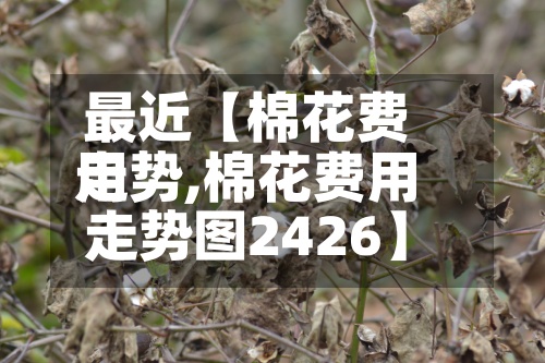 最近【棉花费用
走势,棉花费用
走势图2426】-第2张图片