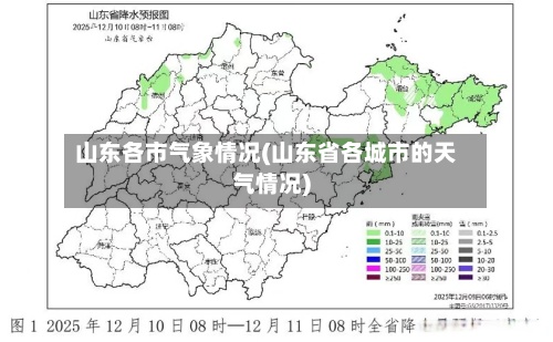 山东各市气象情况(山东省各城市的天气情况)