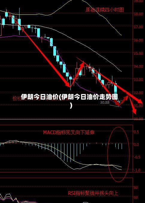 伊朗今日油价(伊朗今日油价走势图)