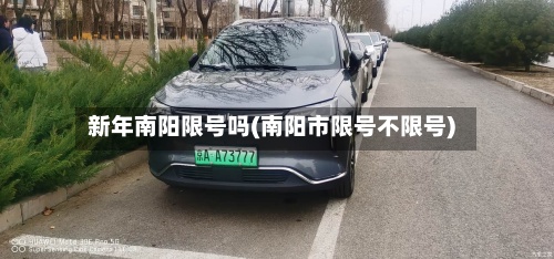 新年南阳限号吗(南阳市限号不限号)