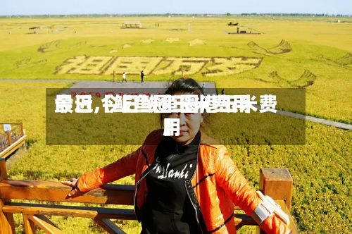 最近【鲅鱼圈玉米费用
今日,今日鲅鱼圈港玉米费用
】-第2张图片