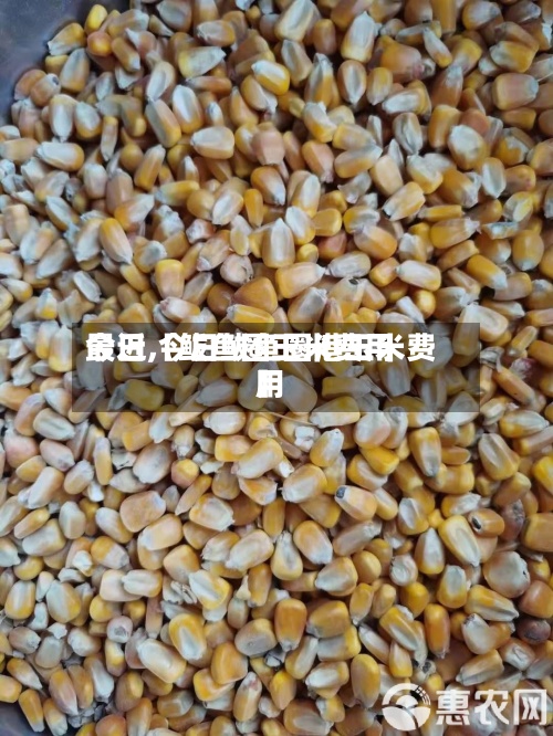 最近【鲅鱼圈玉米费用
今日,今日鲅鱼圈港玉米费用
】-第3张图片