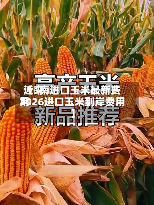 近来
【赿南进口玉米最新费用
2026进口玉米到岸费用
】-第2张图片