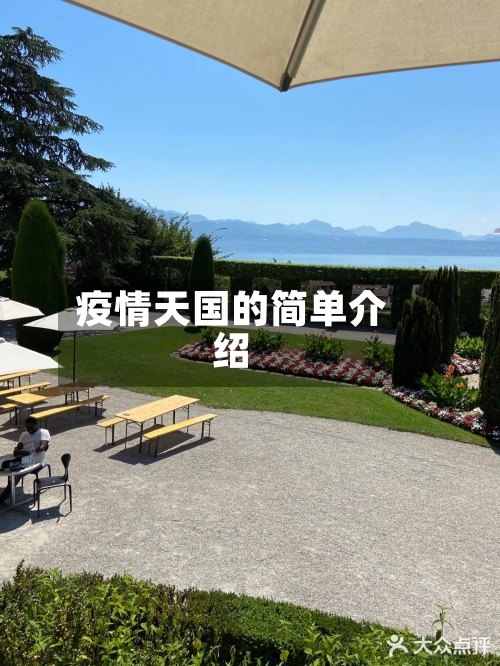 疫情天国的简单介绍-第3张图片