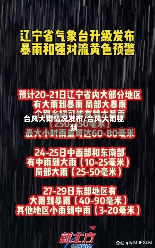 台风大雨情况发布/台风大雨视频-第2张图片