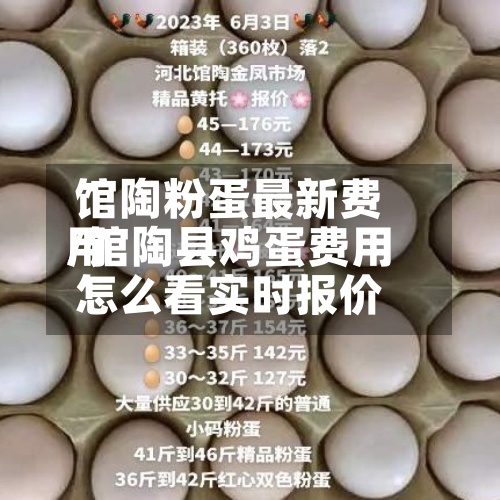 馆陶粉蛋最新费用/馆陶县鸡蛋费用怎么看实时报价-第3张图片