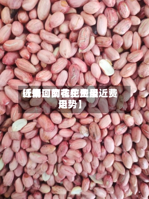 近来【周口的花生费用行情河南省花生最近费用走势】