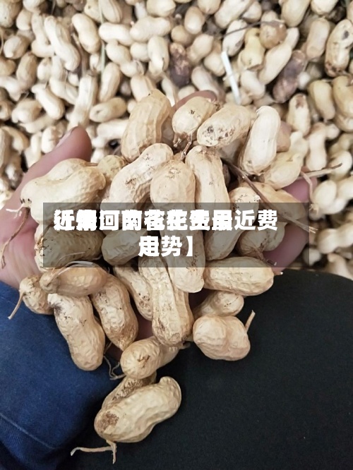 近来
【周口的花生费用
行情河南省花生最近费用
走势】-第2张图片