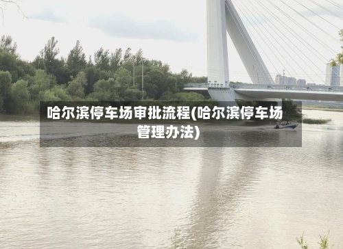 哈尔滨停车场审批流程(哈尔滨停车场管理办法)