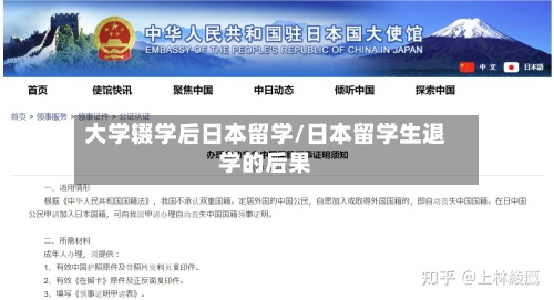 大学辍学后日本留学/日本留学生退学的后果