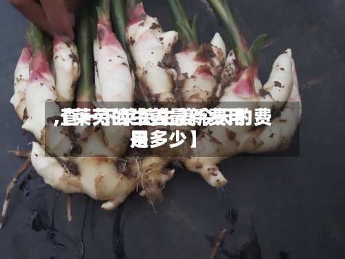 【莱芜的生姜最新费用
,查一下莱芜生姜今天的费用
是多少】-第2张图片