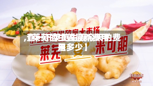 【莱芜的生姜最新费用,查一下莱芜生姜今天的费用是多少】