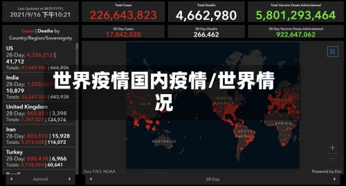 世界疫情国内疫情/世界情况