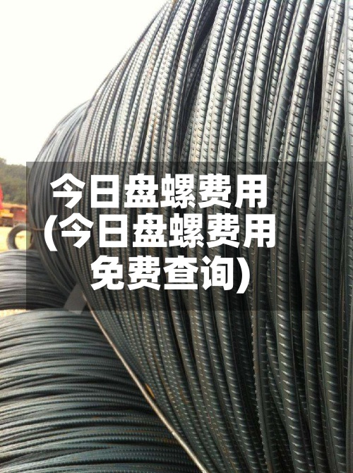 今日盘螺费用(今日盘螺费用免费查询)
