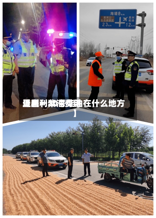 近来【垦利柴油费用垦利一20号柴油在什么地方】