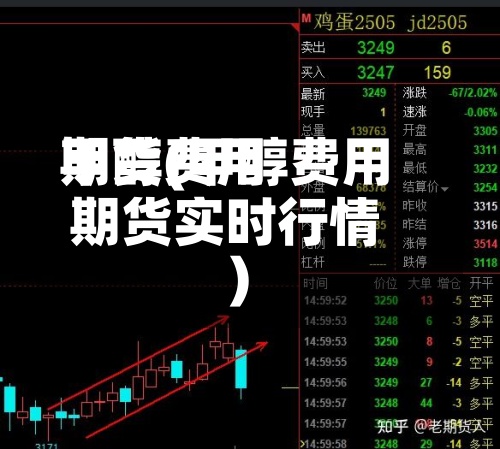 甲醇费用期货(甲醇费用期货实时行情)-第2张图片