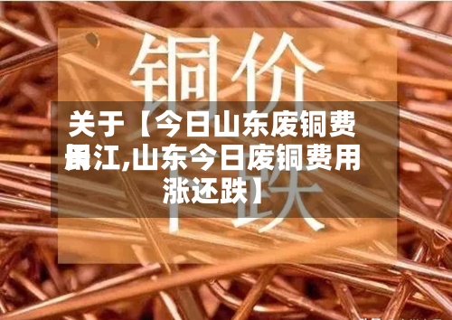 关于【今日山东废铜费用长江,山东今日废铜费用涨还跌】