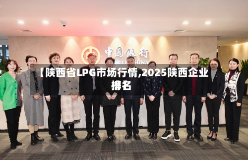 【陕西省LPG市场行情,2025陕西企业排名榜】