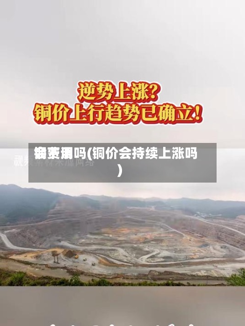 铜费用会下调吗(铜价会持续上涨吗)-第3张图片