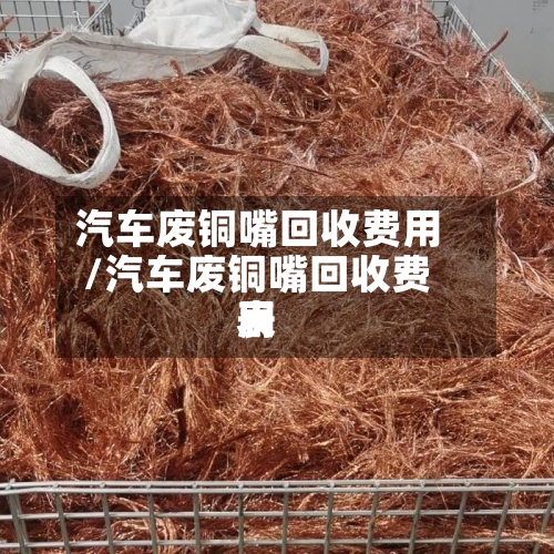 汽车废铜嘴回收费用
/汽车废铜嘴回收费用
表-第3张图片