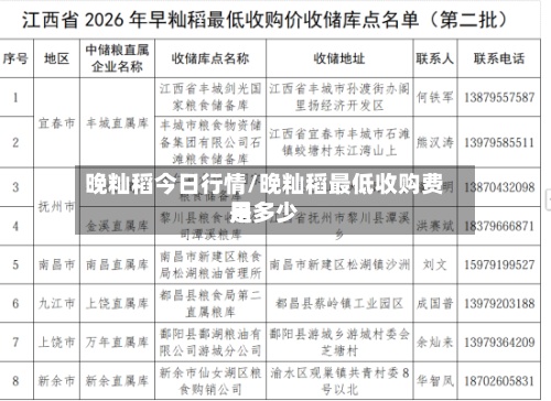 晚籼稻今日行情/晚籼稻最低收购费用是多少