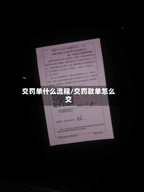 交罚单什么流程/交罚款单怎么交