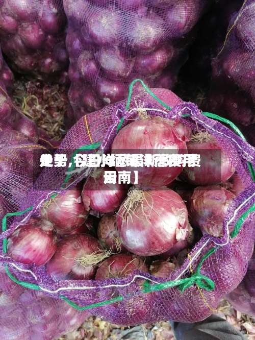 关于【建水缅甸洋葱费用走势,今日洋葱最新收购费用云南】