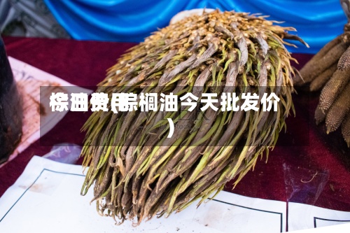 棕油费用今日价(棕榈油今天批发价)