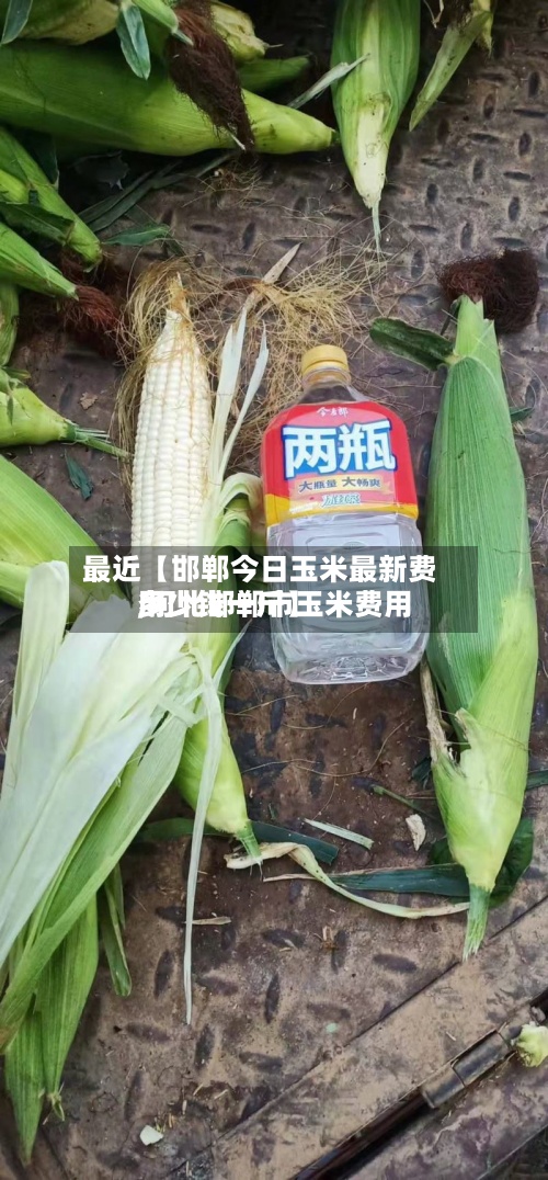 最近【邯郸今日玉米最新费用
,河北邯郸市玉米费用
多少钱一斤】-第2张图片