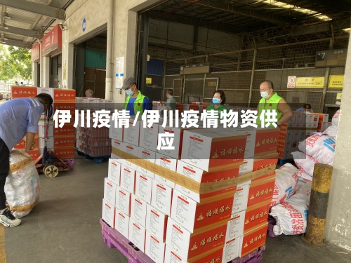 伊川疫情/伊川疫情物资供应-第2张图片
