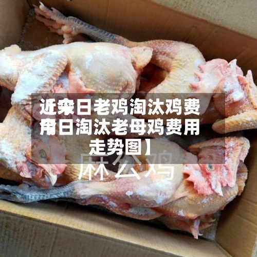 近来
【今日老鸡淘汰鸡费用
今日淘汰老母鸡费用
走势图】-第3张图片