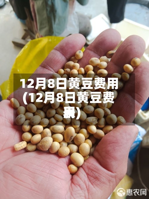 12月8日黄豆费用(12月8日黄豆费用表)