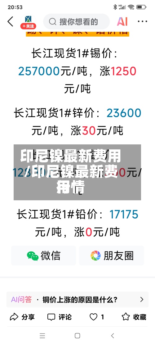 印尼镍最新费用/印尼镍最新费用行情-第2张图片