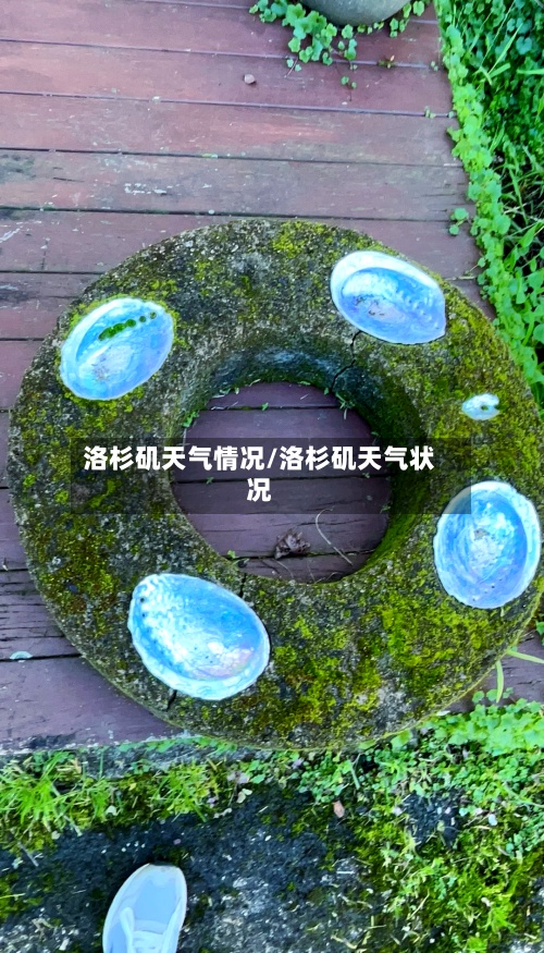 洛杉矶天气情况/洛杉矶天气状况