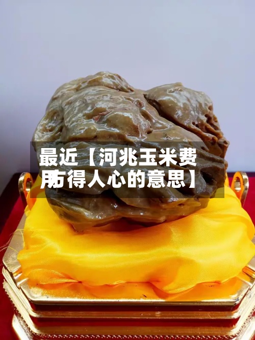 最近【河兆玉米费用
,方得人心的意思】-第2张图片