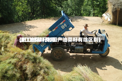 进口油菜籽费用(进口油菜籽和国产油菜籽有啥区别)