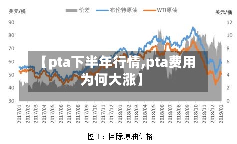【pta下半年行情,pta费用为何大涨】