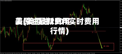 美原油最新费用表(美原油2501实时费用行情)