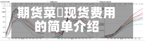 期货菜粨现货费用的简单介绍-第2张图片