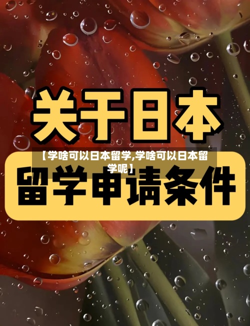 【学啥可以日本留学,学啥可以日本留学呢】