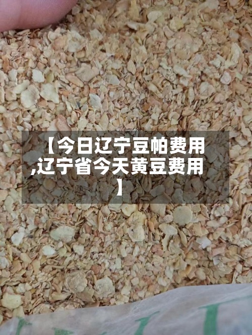 【今日辽宁豆帕费用,辽宁省今天黄豆费用】