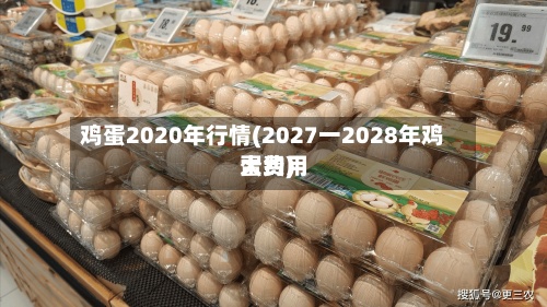 鸡蛋2020年行情(2027一2028年鸡蛋费用大约)